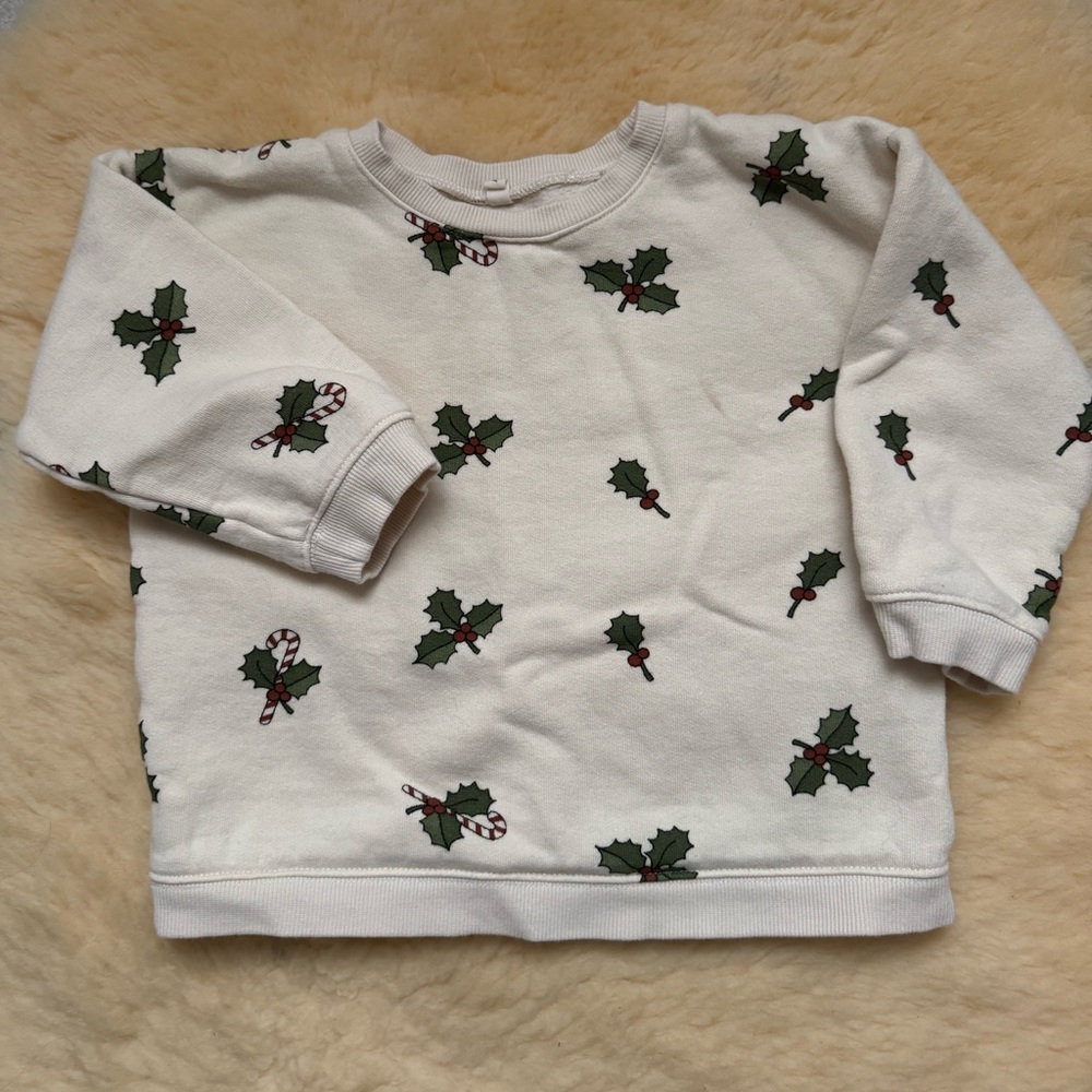 Organic Zoo Holiday Sweatshirt